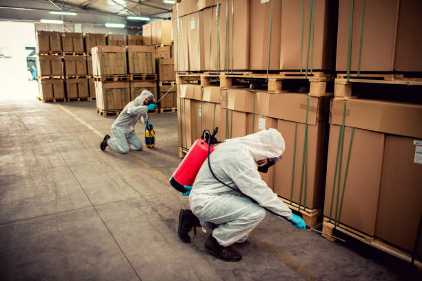 Best Affordable Exterminators  in Hardinsburg, KY