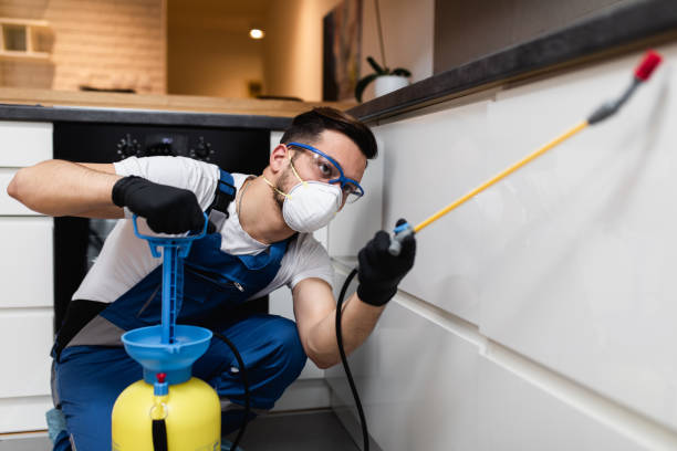 Best Pest Prevention Services  in Hardinsburg, KY