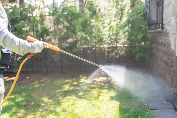 Best Pest Prevention Services  in Hardinsburg, KY