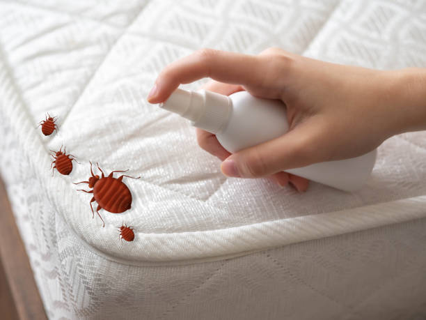 Best Insect Control  in Hardinsburg, KY