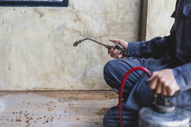 Best Pest Removal Services  in Hardinsburg, KY